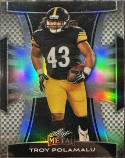 Troy Polamalu