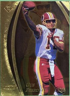 Gus Frerotte