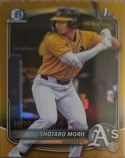 Shotaro Morii