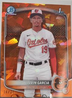 Elvin Garcia