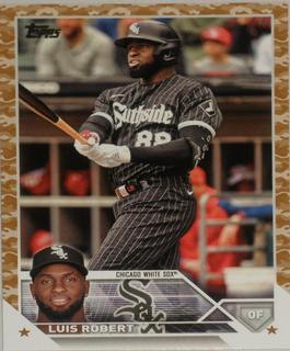 Luis Robert