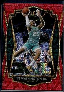PJ Washington Jr.