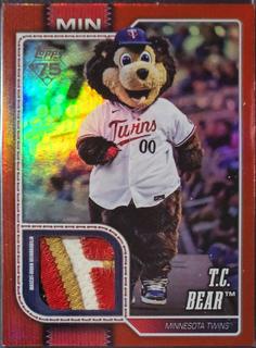 T.C. Bear