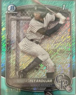 Ashly Andujar