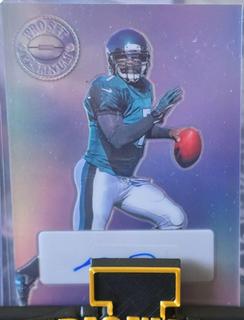 Michael Vick