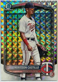 Haritzon Castillo