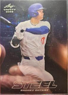 Shohei Ohtani