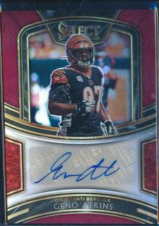 Geno Atkins