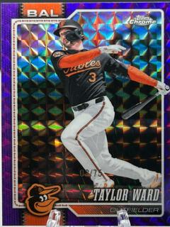 Taylor Ward