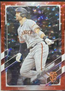 Curt Casali