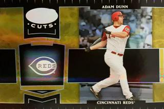 Adam Dunn