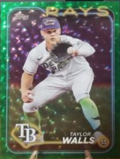 Taylor Walls