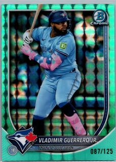Vladimir Guerrero Jr.