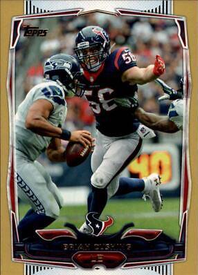 Brian Cushing [Gold] #282
