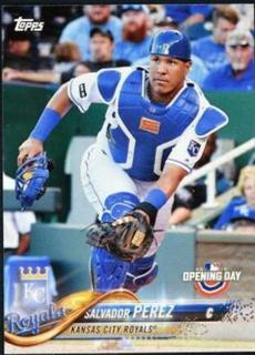 Salvador Perez