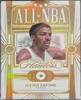 Julius Erving