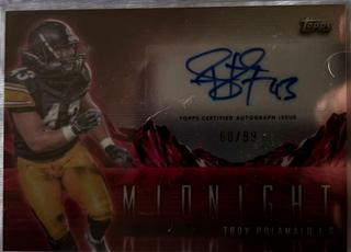 Troy Polamalu