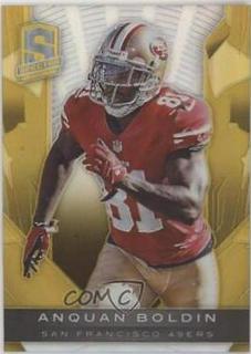 Anquan Boldin