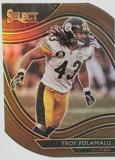 Troy Polamalu