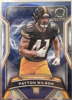 Payton Wilson