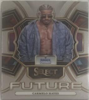 Carmelo Hayes #7 Wrestling Cards 2024 Panini Select WWE Future
