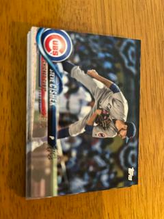 Steve Cishek