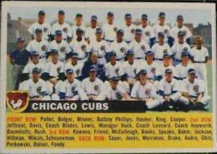 Cubs Team