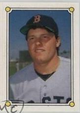 Mitch Webster, Roger Clemens Baseball Cards 1987 O Pee Chee Stickers