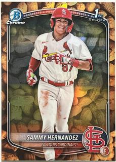 Sammy Hernandez