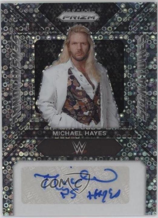 Michael Hayes [Under Card] #SS-MHA