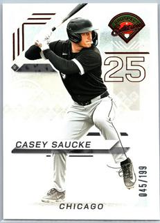 Casey Saucke