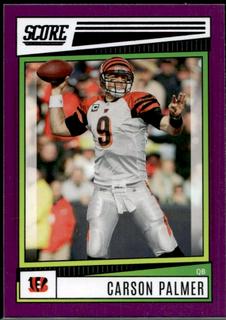 Carson Palmer