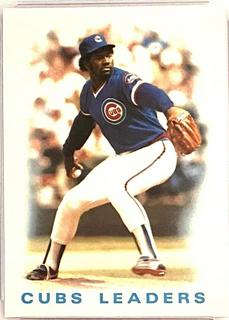 Cubs Leaders