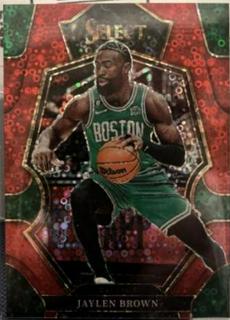 Jaylen Brown