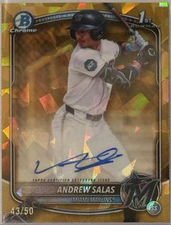 Andrew Salas