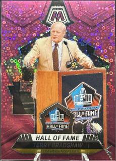 Terry Bradshaw