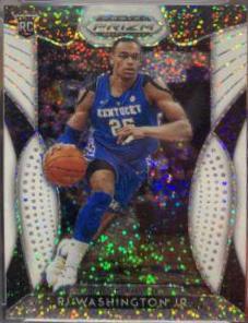 PJ Washington Jr.