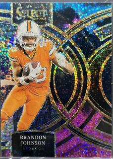 Brandon Johnson