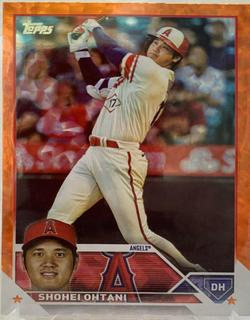 Shohei Ohtani