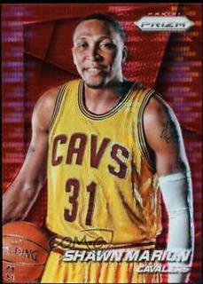 Shawn Marion