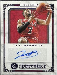 Troy Brown Jr.