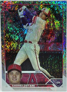Shohei Ohtani