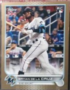 Bryan de la Cruz