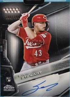 Sal Stewart