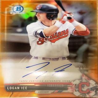 Logan Ice