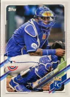 Salvador Perez