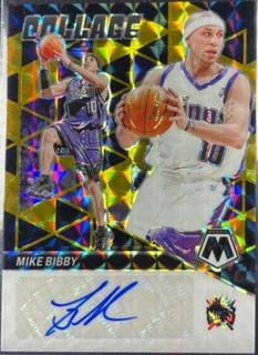 Mike Bibby