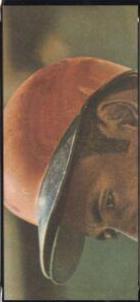 Roberto Clemente