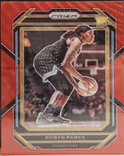 Robyn Parks
