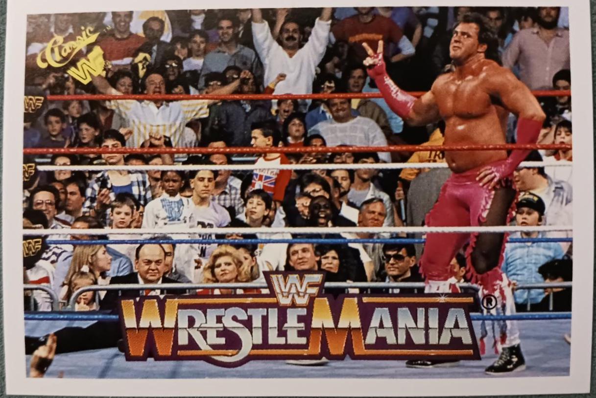 Brutus 'The Barber' Beefcake, Honky Tonk Man #43 Wrestling Cards 1990 Classic WWF The History of Wrestlemania